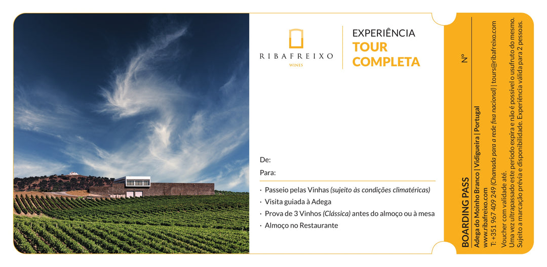 Vineyard Visit, Wine Tasting and Lunch | Full Tour