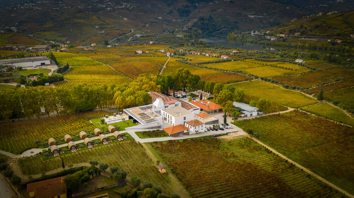 Pacheca | Authentic Wine, Hospitality & Wine Tourism in Portugal ...