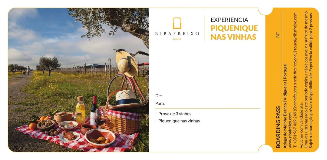 Picnic entre as vinhas 